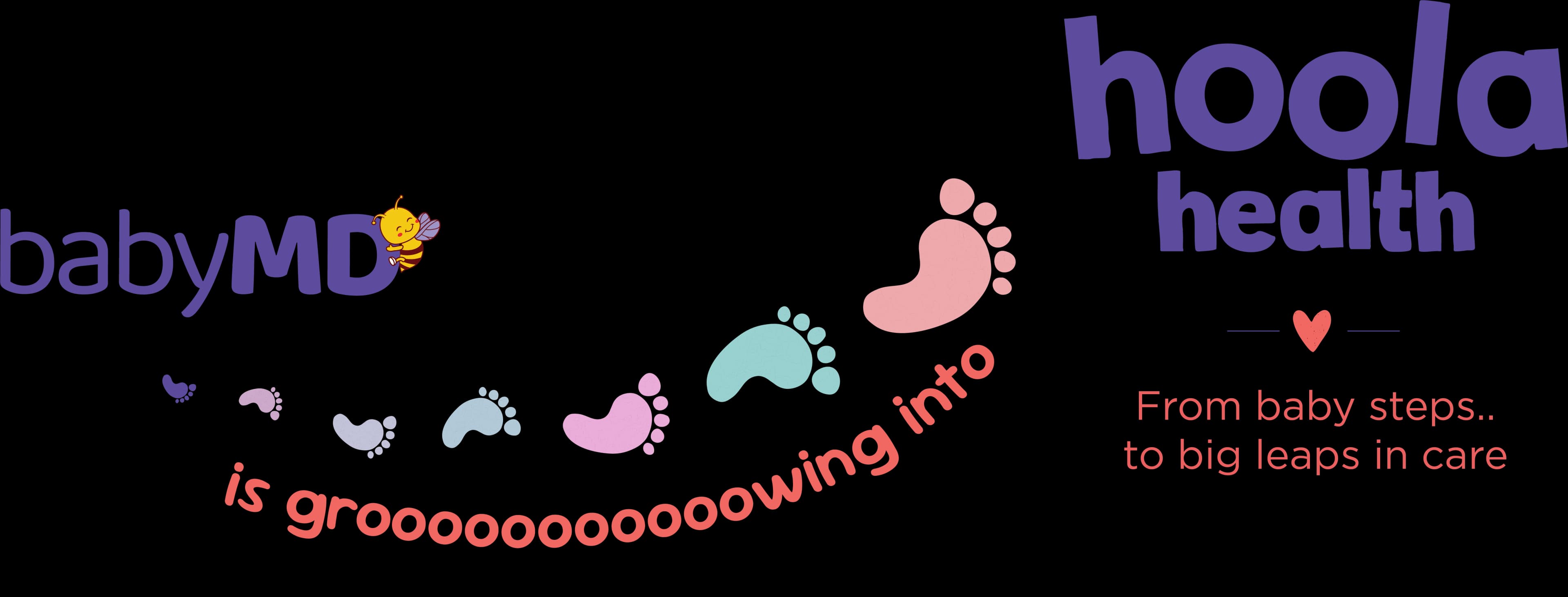 BabyMD is growing into Hoola Health